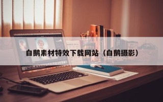 陆丰白鹅素材特效下载网站（白鹅摄影）